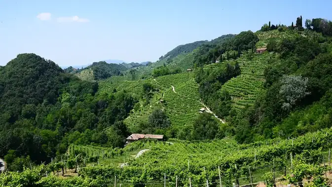 Le Colline del Prosecco di Conegliano e Valdobbiadene