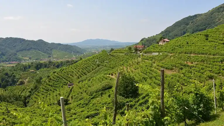 Le Colline del Prosecco