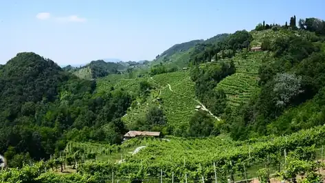 Le Colline del Prosecco di Conegliano e Valdobbiadene
