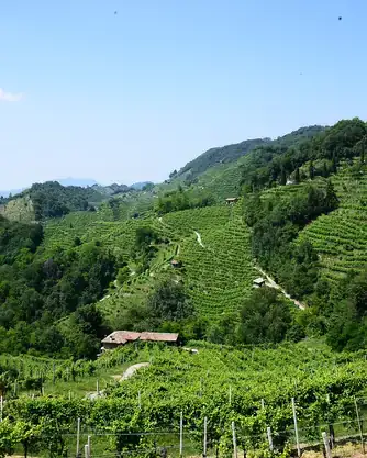 Le Colline del Prosecco di Conegliano e Valdobbiadene