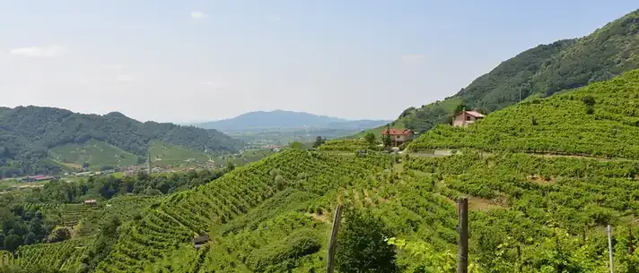 Le Colline del Prosecco di Conegliano e Valdobbiadene