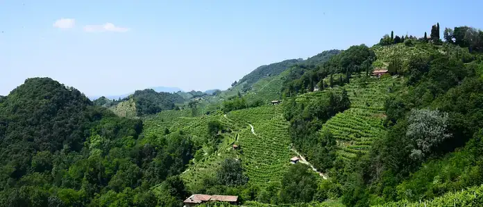 Le Colline del Prosecco di Conegliano e Valdobbiadene